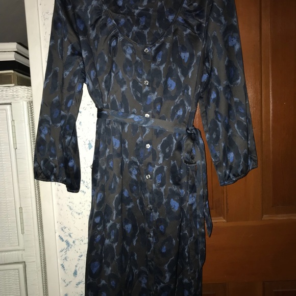 Express Dress - Picture 4 of 4